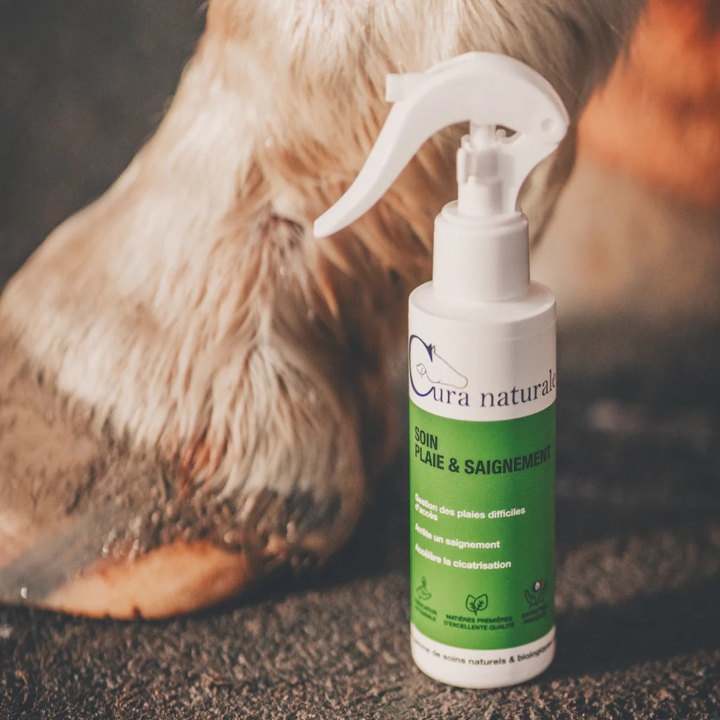 Soin blessure & saignement - CURA NATURALE