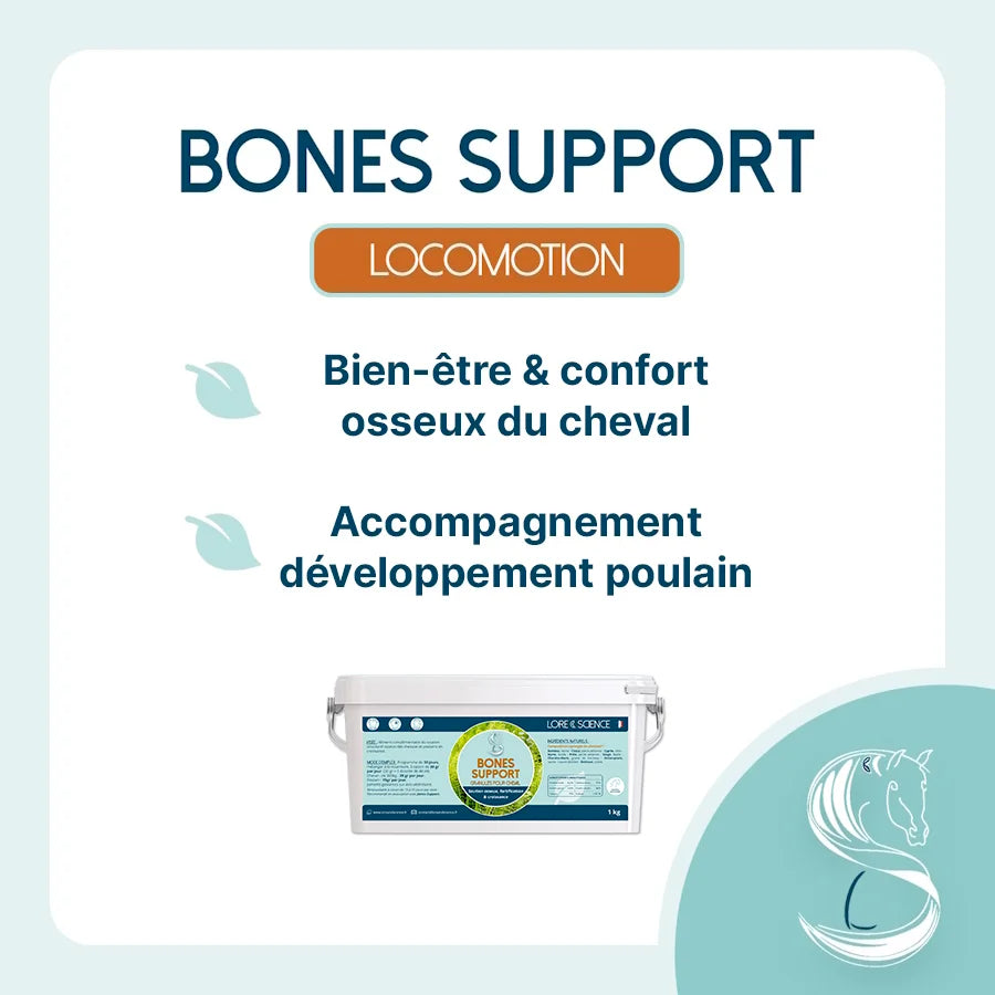Bones Support - LORE & SCIENCE