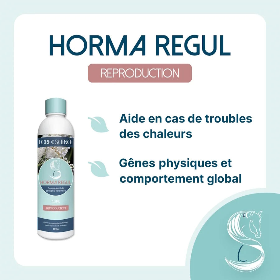 Horma Regul - LORE & SCIENCE