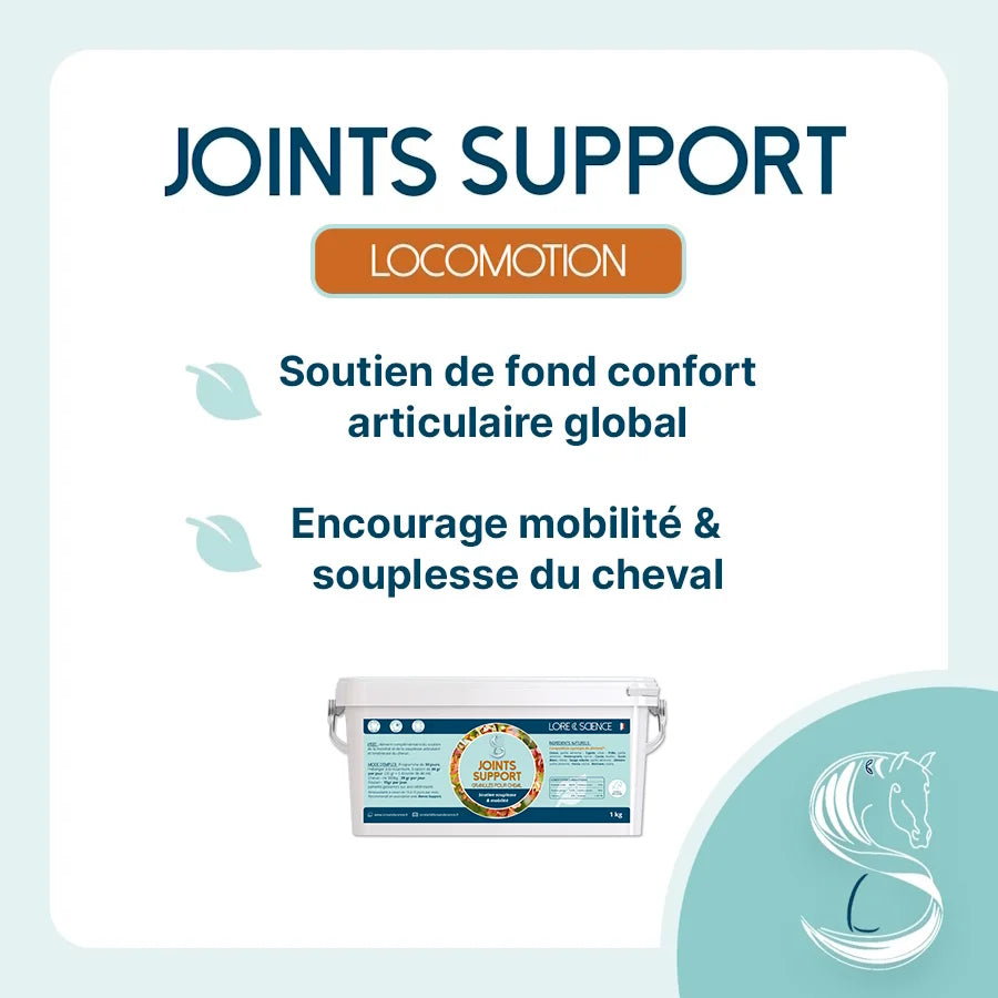 Joints Support - LORE & SCIENCE