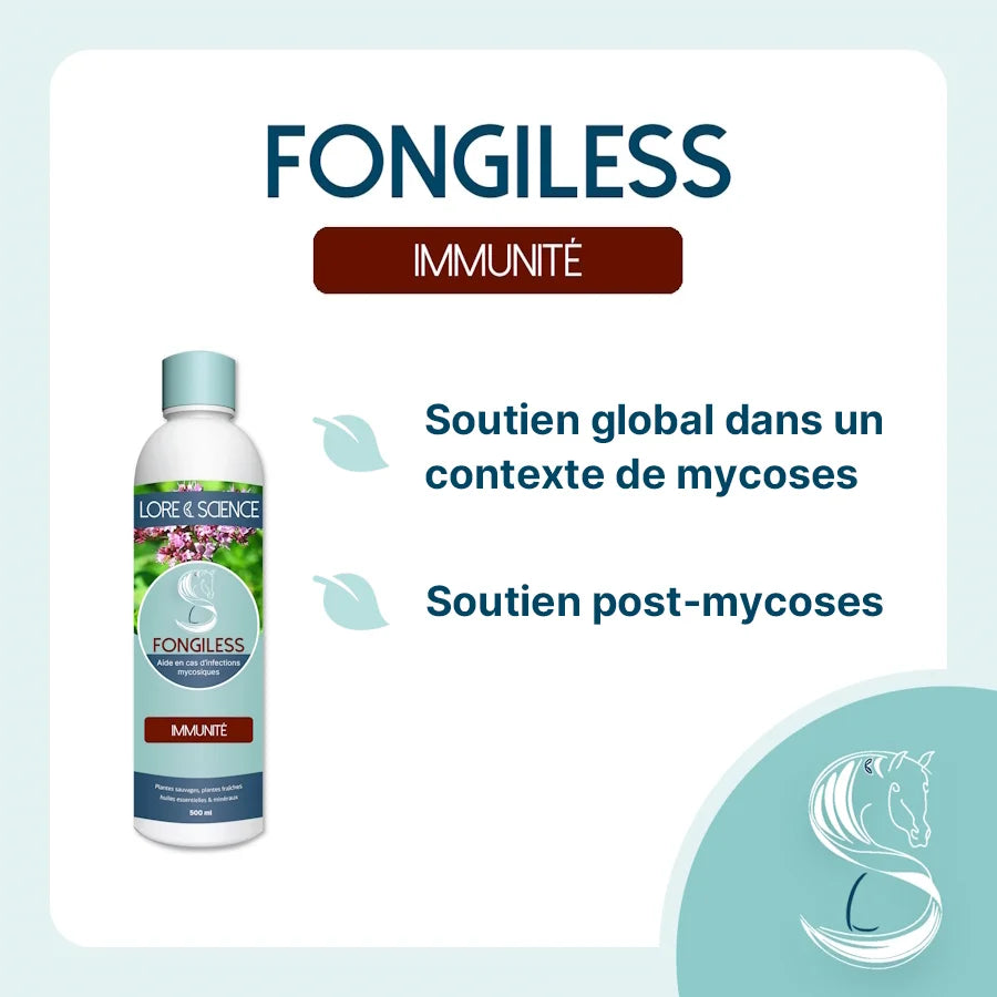 Fongiless - LORE & SCIENCE