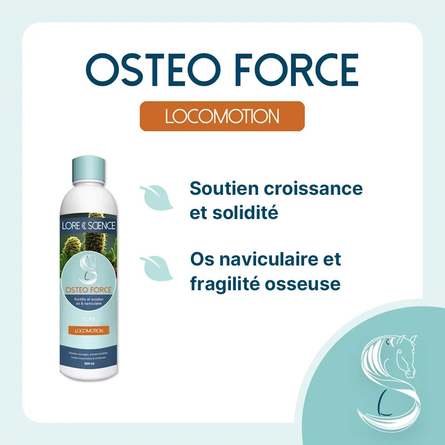 Osteo Force - LORE & SCIENCE
