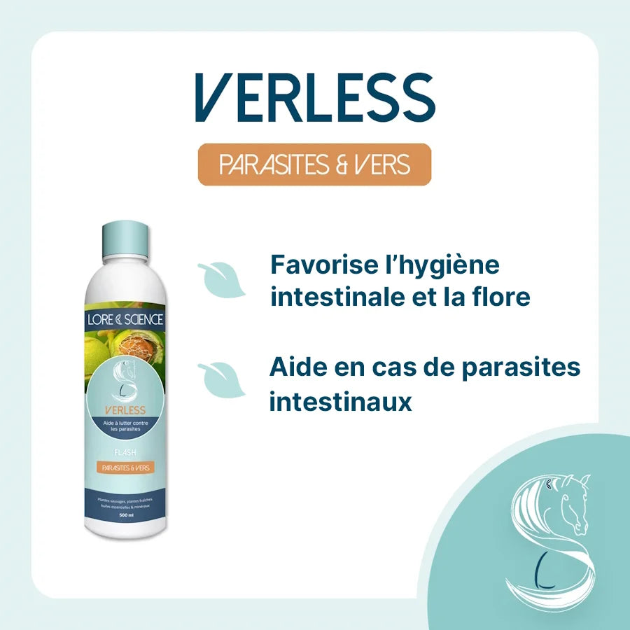 Verless - LORE & SCIENCE