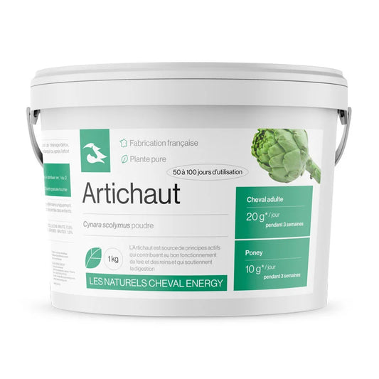 Artichaut Poudre - Cheval Energy