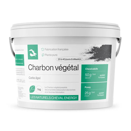 Charbon Végétal - Cheval Energy