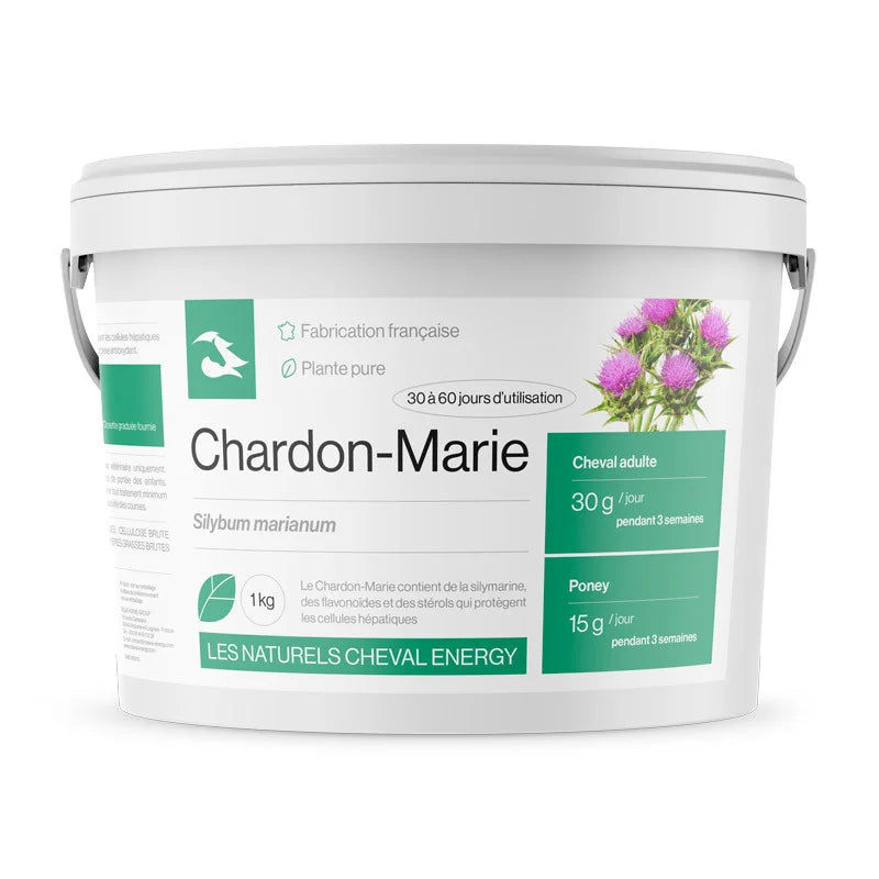 Chardon-Marie - Cheval Energy