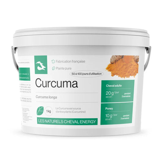 Curcuma - Cheval Energy