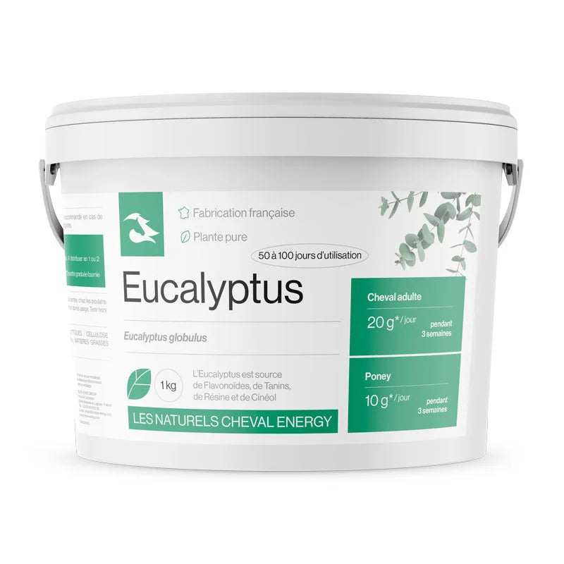 Eucalyptus - Cheval Energy