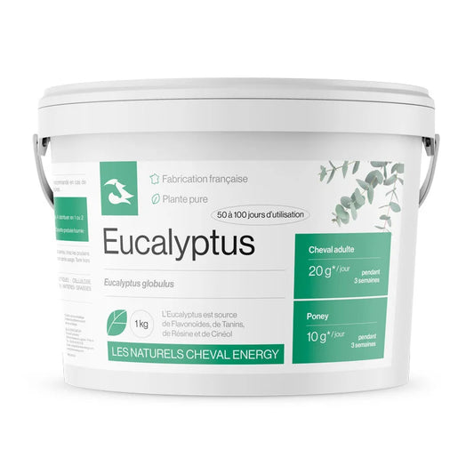 Eucalyptus - Cheval Energy