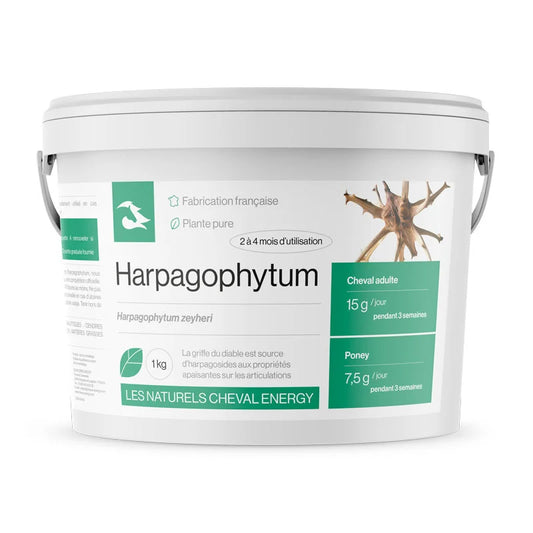 Harpagophytum - Cheval Energy