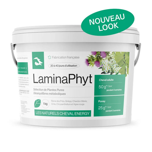 LaminaPhyt - Cheval Energy