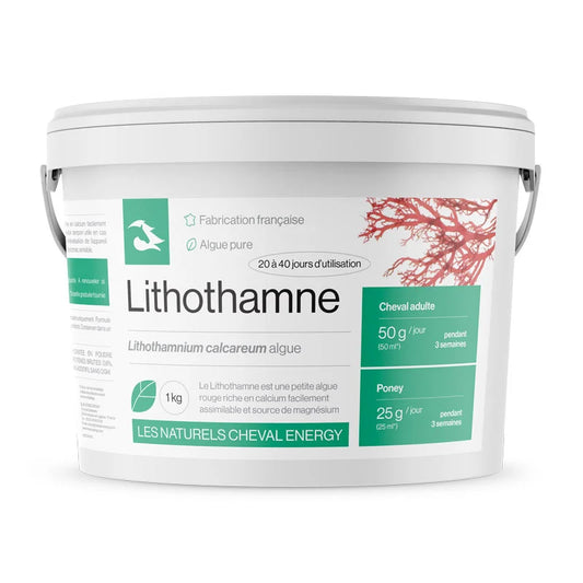 Lithothamne Reminéralisation Cheval - Cheval Energy
