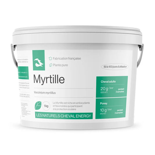 Myrtille - Cheval Energy