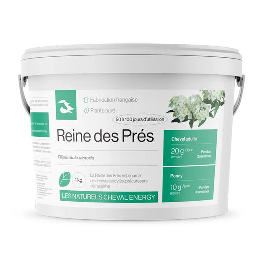 Reine des Prés - Cheval Energy