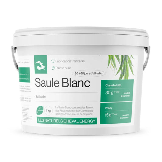 Saule Blanc - Cheval Energy
