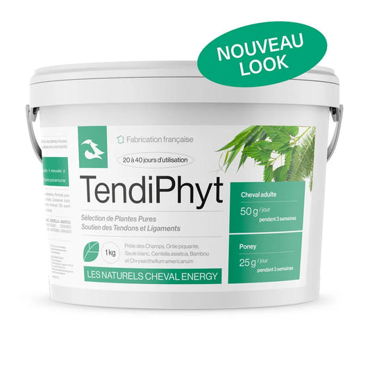 TendiPhyt - Cheval Energy