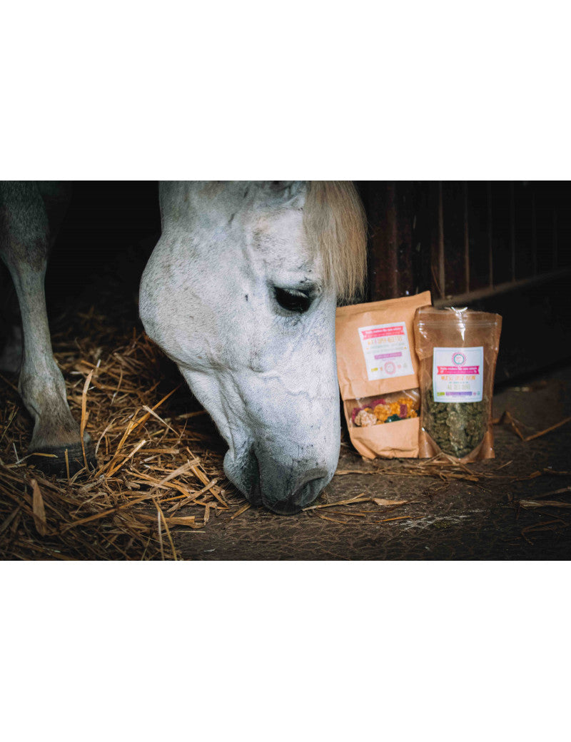 Crackers Cheval Ail des Ours - HAPPY CRACKERS