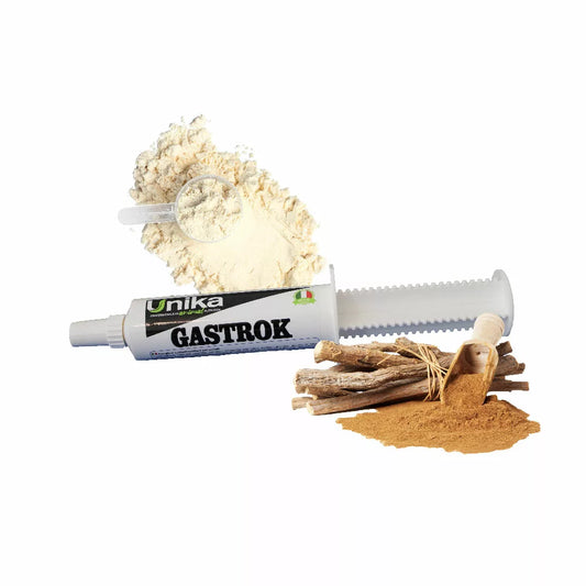 GASTROK - Unika
