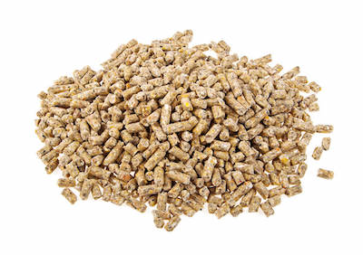 Phytology VetCare - Mix Locomotion Boost Phytogranulés