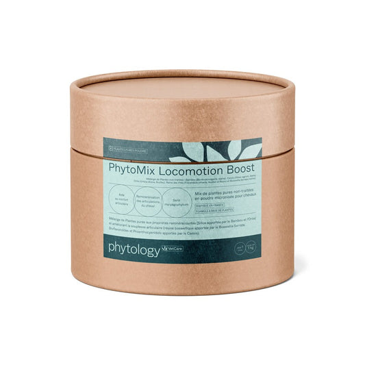 Phytology VetCare - Mix Locomotion Boost Poudre