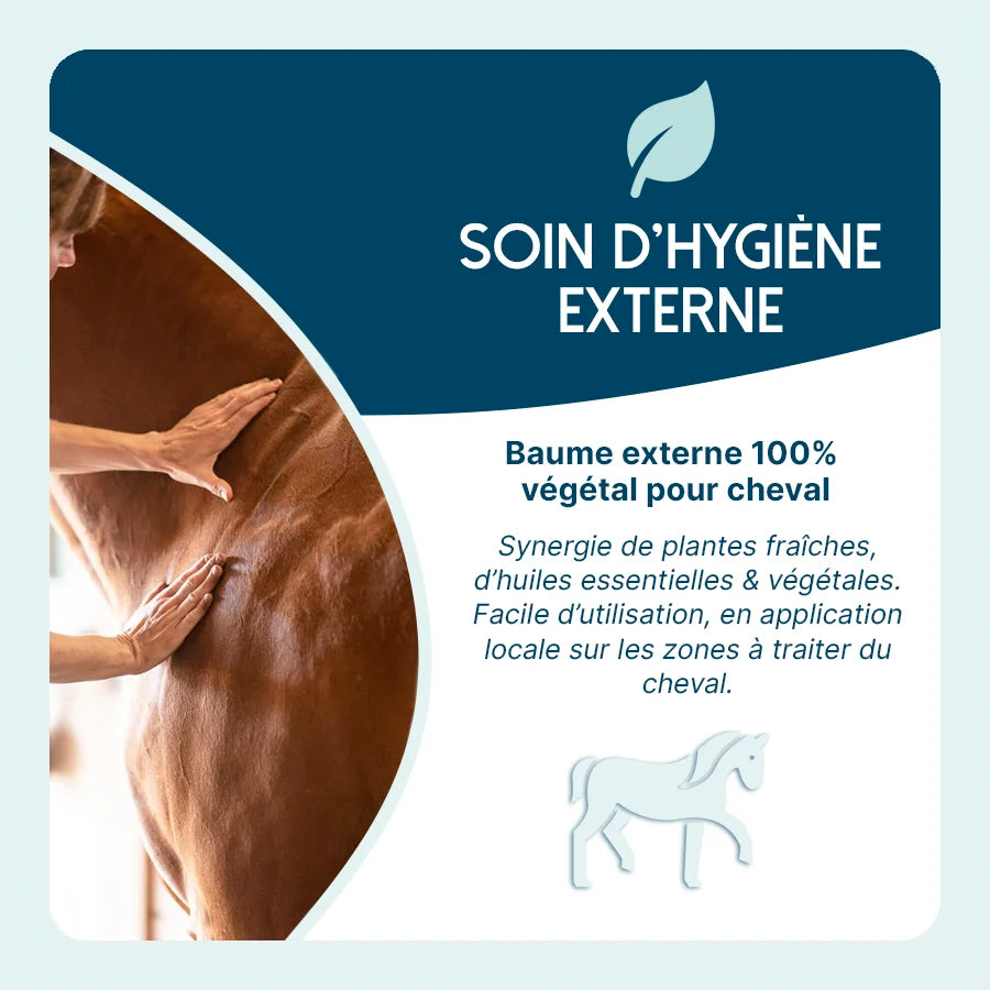 Aseptis Baume - LORE & SCIENCE